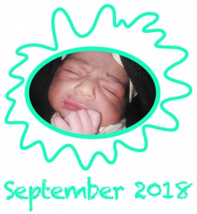 1_Babyfotos_September